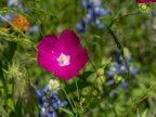 P5021068