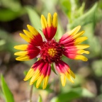 P5021022