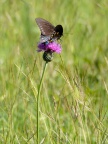 P5020983
