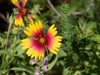 P5020959