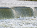 P7014357