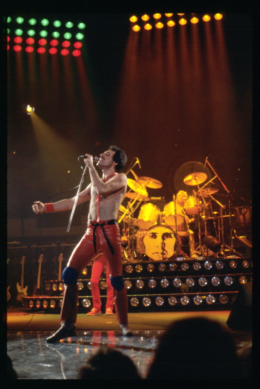 FreddieCloseupVertical